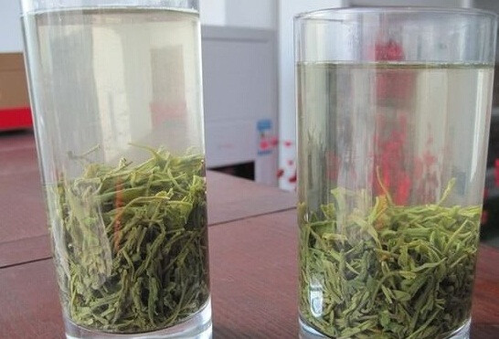 金骏眉茶叶介绍